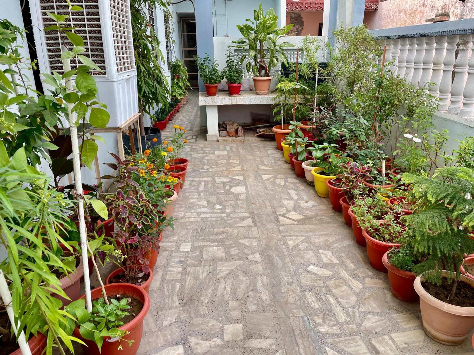 Garg Complex Guesthouse Bharatpur Exteriér fotografie